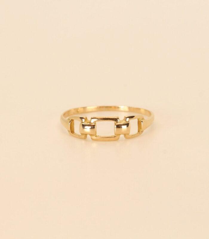 Anillo Nexos