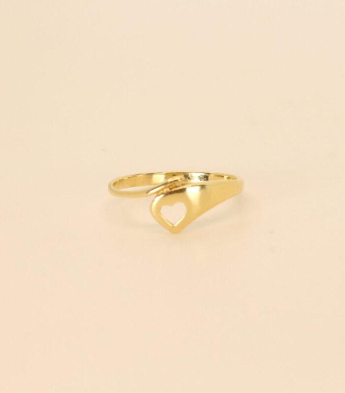 Anillo Latido
